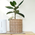 Which Air Purifier is Better: Ionizer or HEPA? A Comprehensive Guide