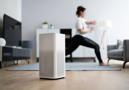 Should You Use an Ionizer on an Air Purifier? - An Expert's Perspective